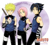 team 7